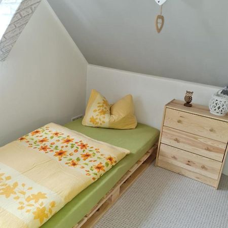 Haus Steindoebra Villa Klingenthal Ngoại thất bức ảnh