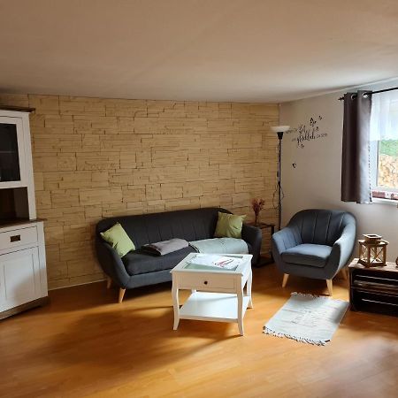 Haus Steindoebra Villa Klingenthal Ngoại thất bức ảnh