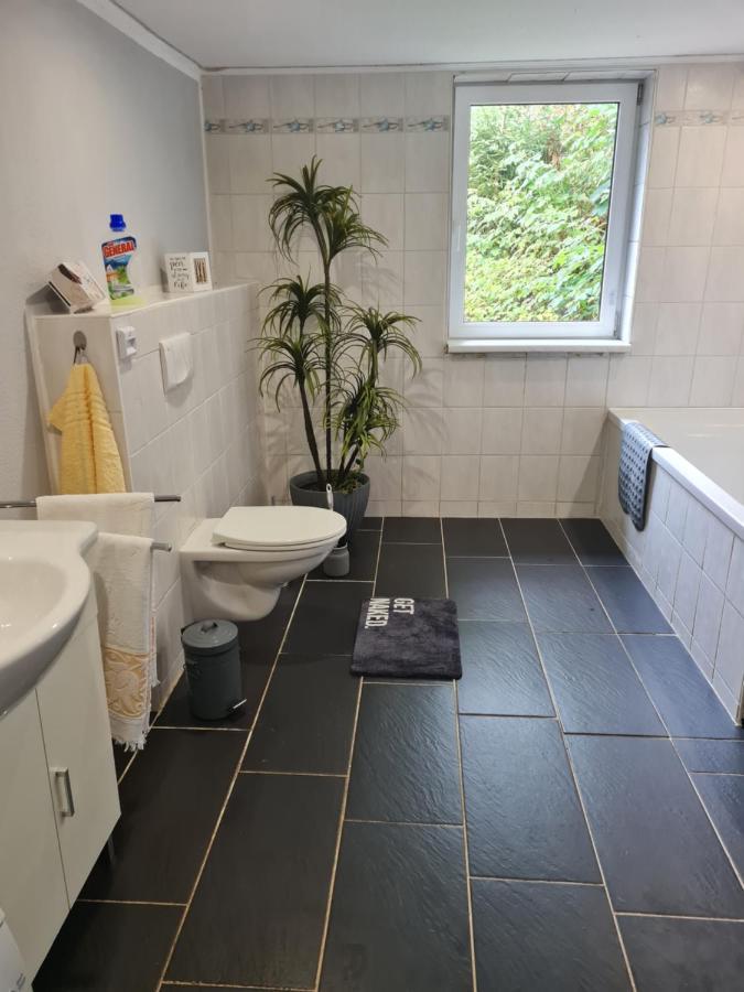 Haus Steindoebra Villa Klingenthal Ngoại thất bức ảnh